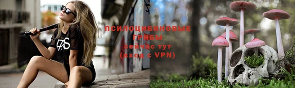 дмт Абаза