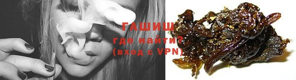 дмт Абаза
