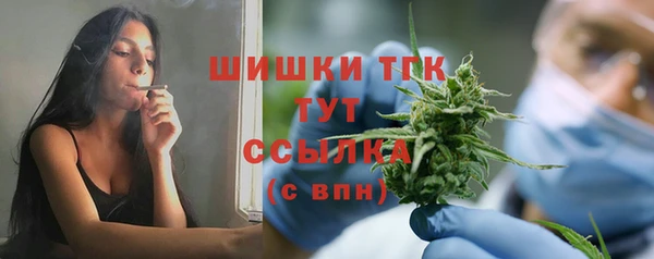 дмт Абаза
