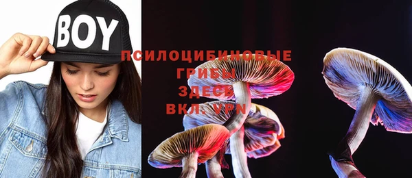первитин Абинск