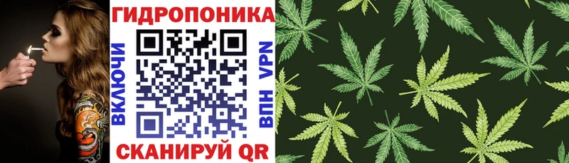 Бошки марихуана тримм  omg маркетплейс  Азнакаево 